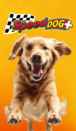 Capa Categoria: 81